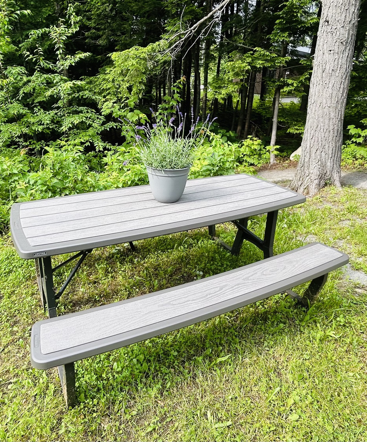 Chalet Le Raton — table de pique-nique extérieure